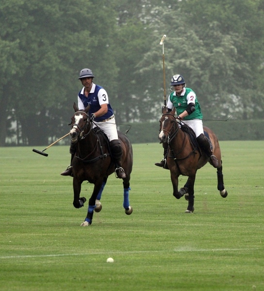 Polo_Art   049.jpg